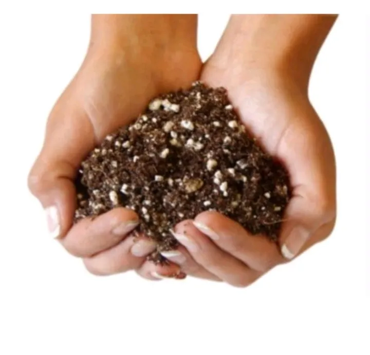 Ganohealth SPECIAL OFFER Cacti and Succulent potting soil 500g(2 litre