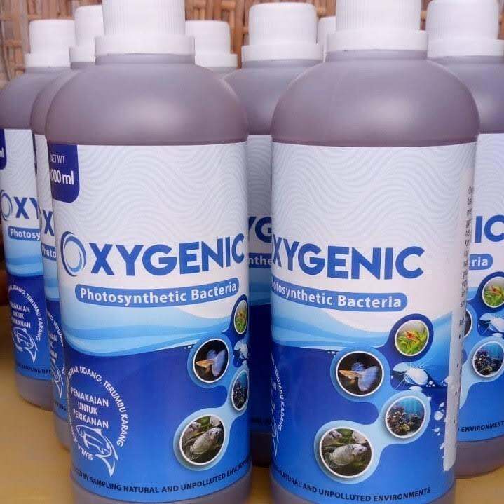 Oxygenic 1L probiotik/bakteri stater kolam aquarium Lazada Indonesia