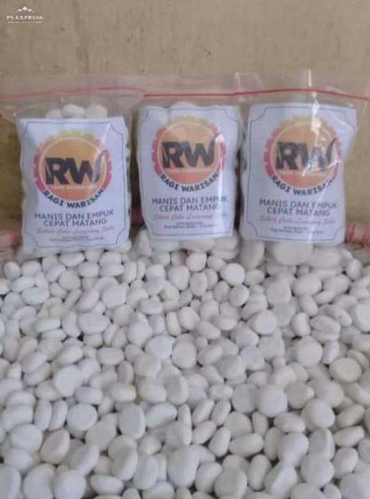 Ragi Tape singkong / Ragi Tape ketan 50 butir. Ragi dibuat oleh pemilik