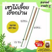 ยาว 65 ซม. หลักต้นไม้ เสาไม้เลื้อย เสาค้ำต้นไม้ เสาเชือกป่าน เชือกขาวดิบ (PVC) DIY ตกแต่งบ้าน ร้าน คอนโด สไตล์มินิมอล ทนทาน ไม่รกตา สบายตา