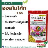 ปุ๋ยออสโมโค้ท 13-13-13 ขนาด1kg. (ปุ๋ยละลายช้า) โซตัส ไม้ประดับ ไม้ดอก