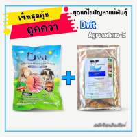 แพ็คคู่ประหยัดกว่า 20.- ชุดแก้ปัญหาแม่พันธุ์ Dvit + Agroseleno-E (ดีวิท + อะโกรซิลิโน่-อี)