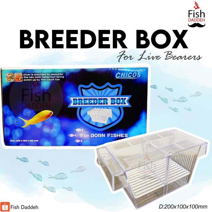 Aquarium Breeder Box for live bearers Lazada PH