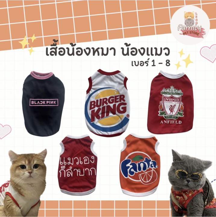 เสื้อหมา-เสื้อแมว-เบอร์-1-6-ลายน่ารัก-ลายขนส่ง-คำพูดโดนๆ-ลายฮิตๆ-แกสบี้-กระต่ายใส่ได้