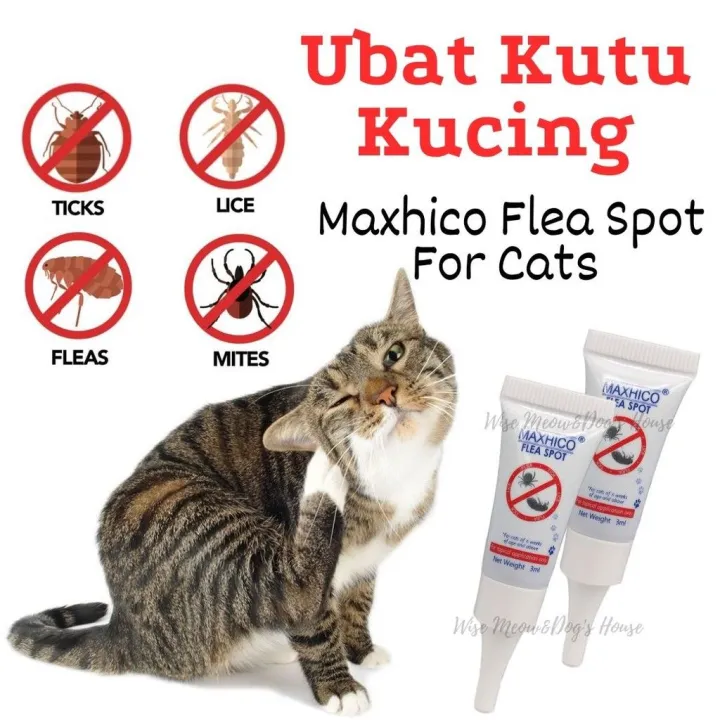 Ubat Kutu Kucing Maxhico Flea Spot For Cats Spot On 0 3ml Lazada