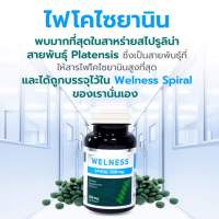 wellness?สาหร่ายสไรูลิน่าเพื่อสุขภาพจำนวน100เม็ด