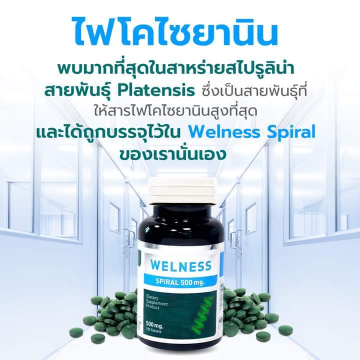 wellness-สาหร่ายสไรูลิน่าเพื่อสุขภาพจำนวน100เม็ด