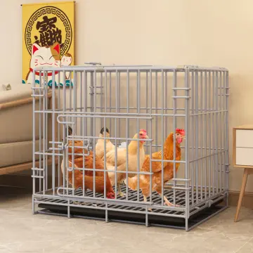 Chicken Cage - Best Price In Singapore - Aug 2023 | Lazada.Sg