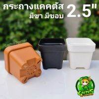 กระถาง4เหลี่ยม 2.5" มีขา มีขอบ กระถางแคคตัสมี3สี