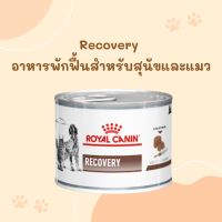 Recovery อาหารพักฟื้นสำหรับสุนัขและแมว exp.01/2025