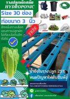 ชุดรางปลูกผัก Hydroponics PVC สีฟ้า ท่อขนาด 3 นิ้ว (Hydroponics vegetable planting kit)