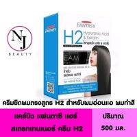 CAREBEAU แคร์บิว แฮร์ สเตรทเทนเนอร์ ครัม ไฮยาลูรอนนิค แอซิด &amp; เครติน (สูตร H2 สำหรับผมอ่อนแอ ผมทำสี) ปริมาณ 500 มล.