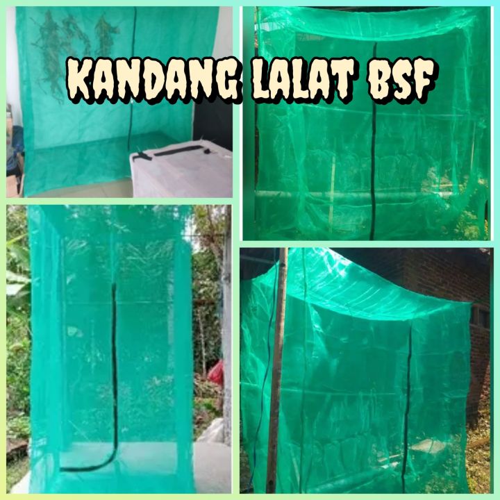 kandang bsf L1xP2xT2 jaring lalat maggot portable | Lazada Indonesia