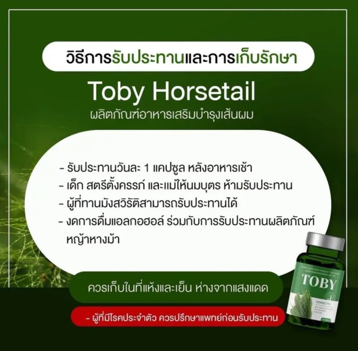 toby-horsetail-อาหารเสริมบำรุงเส้นผม
