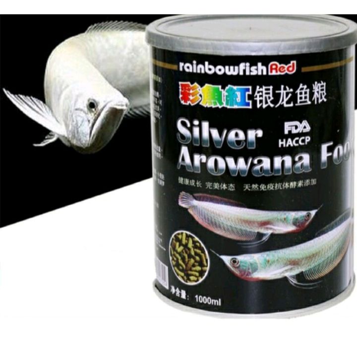 Rainbow Silver Arowana อาหารปลาอโรวาน่า ปลามังกรเงิน ปลามังกรเผือก