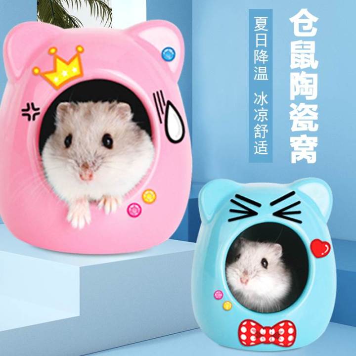 Hình ảnh chuột Hamster nhỏ nhắn xinh xắn và đáng yêu nhất