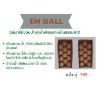 EM BALLจุลินทรีย์ช่วยบำบัดน้ำเสียอย่างเป็นธรรมชาติ