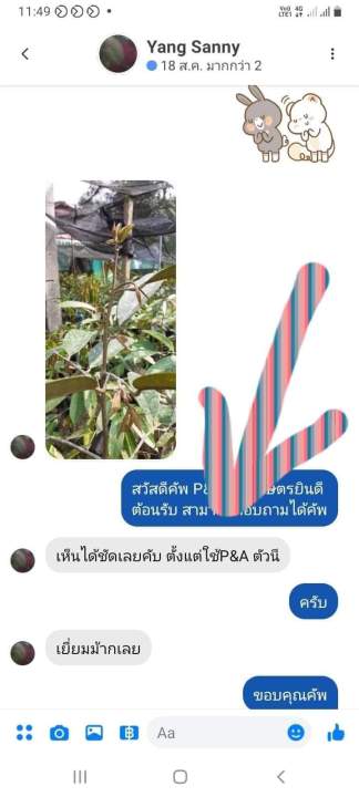 ไตรโคเดอร์มาอัดเม็ด-ไตรโคเดอร์มา-พีโคเดอร์มา