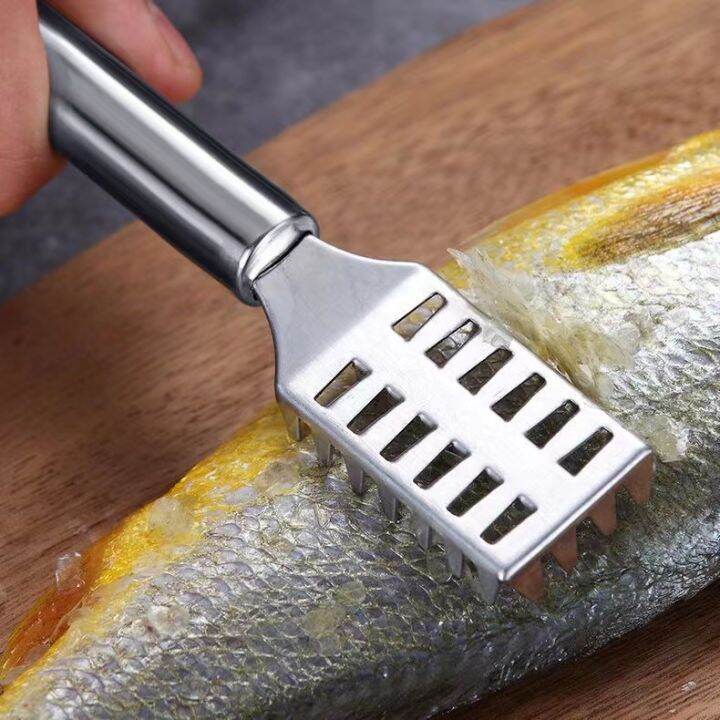 Household Stainless Steel Fish Scale Planer Descaling Scraper Kitchen