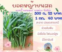 หญ้าขนสด สำหรับสัตว์เลี้ยง ปลอดสารพิษ ปริมาณ1000กรัม