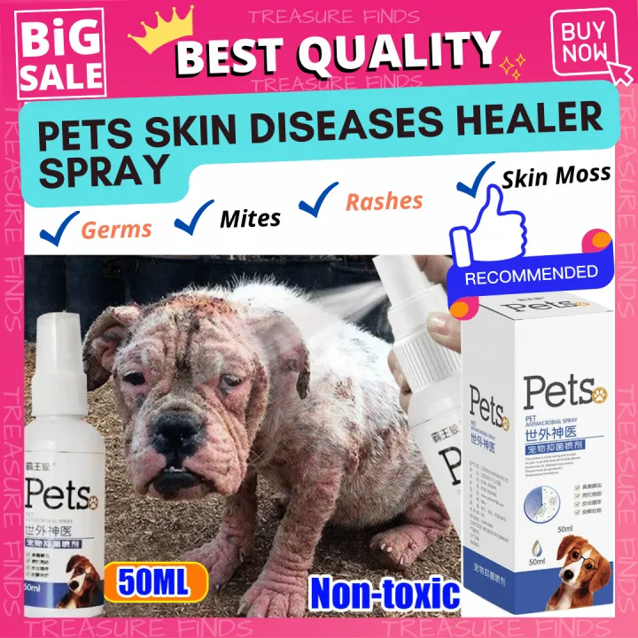 NON TOXIC CAN BE LICKED 🐶😻 ANTI MANGE FOR DOGS & CATS PET ANTIBACTERIAL ...