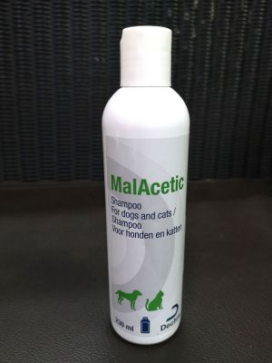 MalAcetic Shampoo แชมพูสำหรับสัตว์เลี้ยงที่ติดเชื้อแบคทีเรีย และเชื้อรา ช่วยลดกลิ่นอับชื้น ไม่ทำให้ผิวแห้ง 230ml สำหรับสุนัขและแมว  เหมาะกับเชื้อยีสต์และแบคทีเรีย