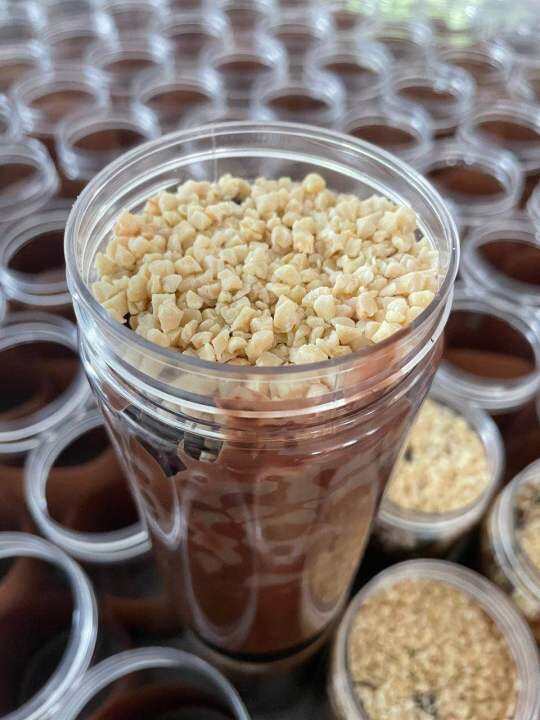 Crunchy Choco Jar Almond Nibs Lazada
