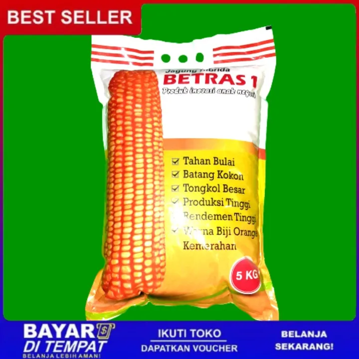 Benih Jagung Betras Kemasan 5kg | Benih Unggul Termurah Jagung Hibrida ...