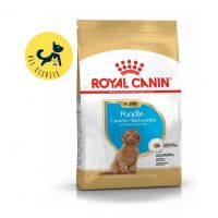 Royal canin Poodle Puppy ขนาด 1.5kg.