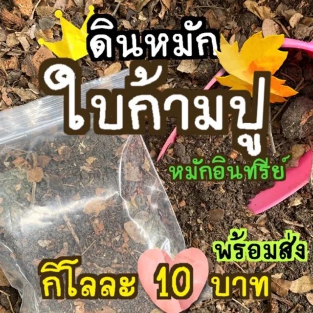 ดินหมักใบก้ามปูกิโลกรัมละ-10-ลดเหลือ8-บาท-หมักอินทรีย์หยาบผสม-4-5