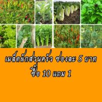 เมล็ดพันธุ์ผัก เมล็ดผักสวนครัว เมล็ดพันธุ์ผักสวนครัว ปลูกง่ายโตไว ราคา5บาท