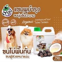 แชมพูหมา บำรุงขนนุ่มลื่นเงางาม สูตรมะพร้าว ขนาด1000ml