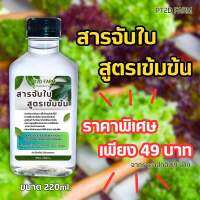 สารจับใบ ชนิดเข้มข้น 220/1000ml.