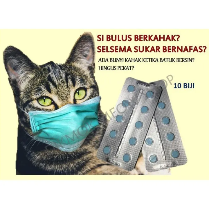 Ready Stock Ubat Cair Kahak Kucing Ubat Batuk Kucing Ubat Selsema Kucing 10 Biji Lazada