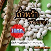 ✅ ถั่วพร้า เมล็ดถั่วพร้า 10 กิโลกรัม(รับประกันการงอก)