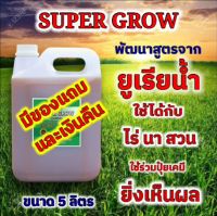 ?ปุ๋ยน้ำ ยูเรียน้ำ. ขนาด5ลิตร?? Super grow ยูเรียน้ำ​ ปุ๋ยน้ำ  น้ำหมัก  สำหรับพืช ต้นโตเร็ว​ ใบเขียวดกหนา​ พิเศษเพิ่มฟอสฟอรัส