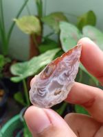 #KD07 Agate Geode โพรงอาเกต หินธรรมชาติ หินสะสม
มีผลึกควอตซ์