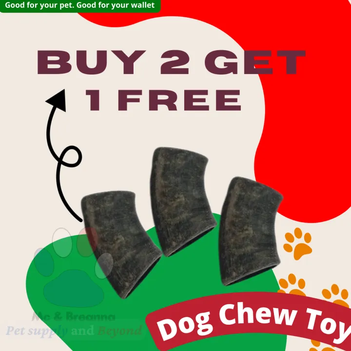 Philippine Carabao Horn Buffalo Horn Sungay ng Kalabaw Antler for Dog