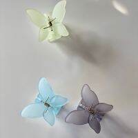 gimmeblessed.co — colorless butterfly (size 6 cm)