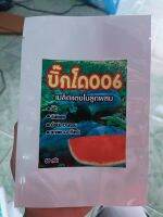 บิ๊กโด006 ??โตไว ต้นแข็งแรง เนื้อแน่น ขนาดผล4-6กก. ✅ขนาด50กรัม