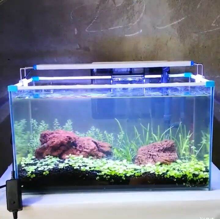 【DDC AQUA】Aquarium Lights Clip Waterproof Fish Tank Light Aquarium