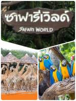 บัตรซาฟารีเวิลด์ Safari World ค่าเข้าทั้ง 2โซน ราคาถูก