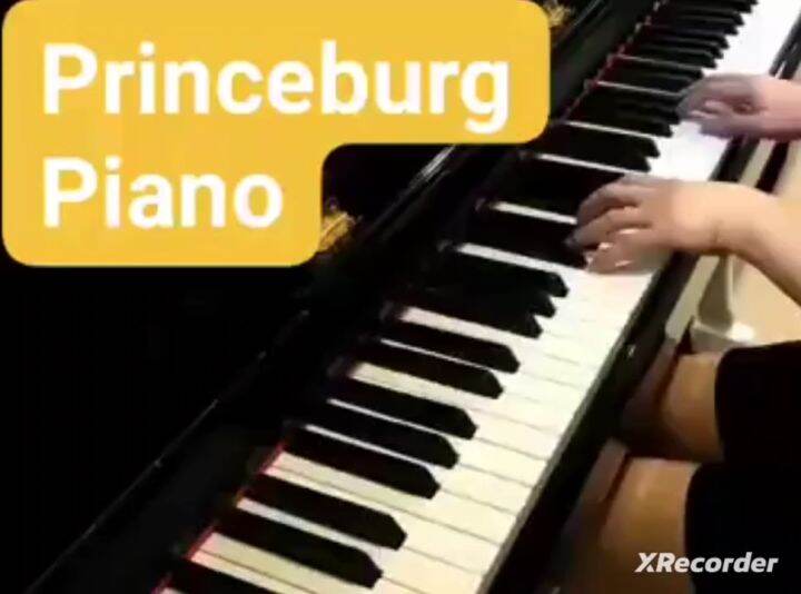 Master Grade 88 Keys Digital Piano Exam Grade Piano Progressive Hammer Action Weighted Keys