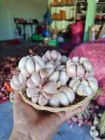 กระเทียมจีน แต่งเปลือก 1 กิโลกรัม/1公斤大蒜/1 kg of garlic