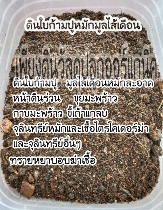 สูตร-03-ถุงละ-2-กิโล-ซื้อ5ถุงแถมฟรี-1ถุงดินก้ามปูหมักมูลไส้เดือนสะอาด-แกะถุงใช้งานได้เลยสูตรปรุงสำเร็จ-ดินปลูกต้นไม้-ดินปลูก-เกษตรอินทรีย์-ดินออร์แกนิค-ดินอินทรีย์-ปุ๋ยอินทรีย์-ดินก้ามปู-ดินหมักใบก้าม