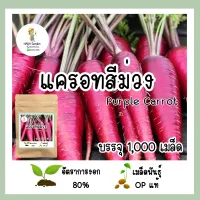 เมล็ดพันธุ์ แครอทสีม่วง จำนวน 1,000 เมล็ด เมล็ดพันธุ์แท้ อัตราการงอกสูง