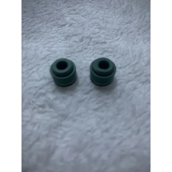 valve seal xrm 125