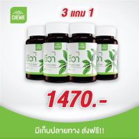 ชีวา ผักเชียงดาสมุนไพรเบาหวาน ความดัน ไขมัน Chewa herbal โปรโมชั่น 3แถม1