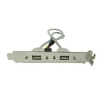 Mainboard 2 Port USB 2 0 to 9 Pin adapter