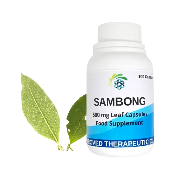 Pure Sambong capsule 500 mg, Anti UTI and Kidney Stones Pure and